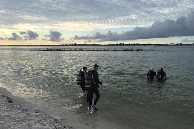 Small Group Guided Shore Dives in St. Andrews State Park, Florida - Water clarity, current, and weather
