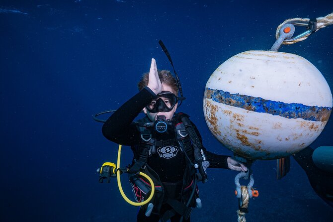 Small-Group Shark and Turtle Dive for Certified Divers - Why Mala Wharf is Maui’s star shore site