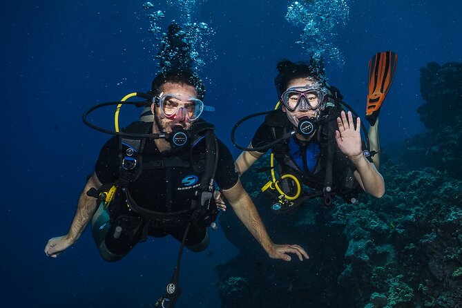 Small-Group Shark and Turtle Dive for Certified Divers - What the morning looks like from Front Street to the water