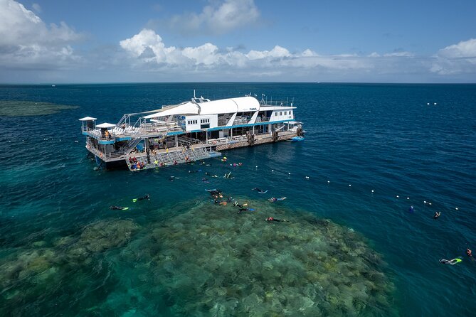 Snorkel & Dive the Reef: Sustainable, Scientific & Cultural Tour - A full reef day from Cairns, with the hard work handled