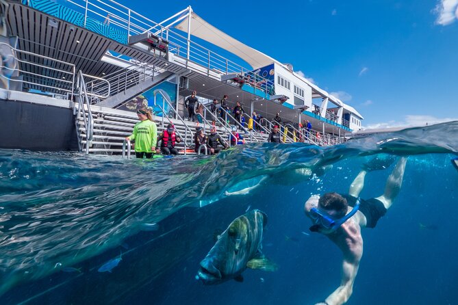 Snorkel & Dive the Reef: Sustainable, Scientific & Cultural Tour - 8:00 am departure and the 90-minute Coral Sea crossing