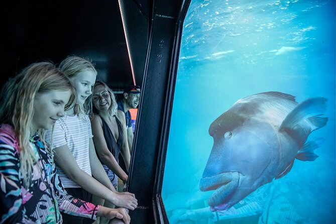 Snorkel & Dive the Reef: Sustainable, Scientific & Cultural Tour - Glass-bottom boat and underwater observatory options