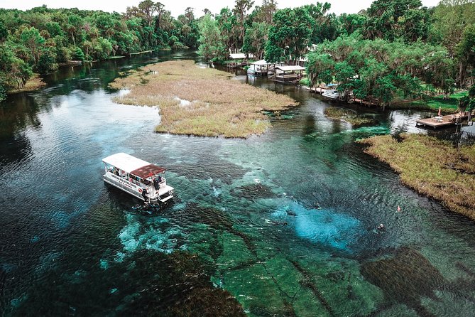 Snorkel Or Dive The Amazing Rainbow River Florida - From Crystal River to the wooded river