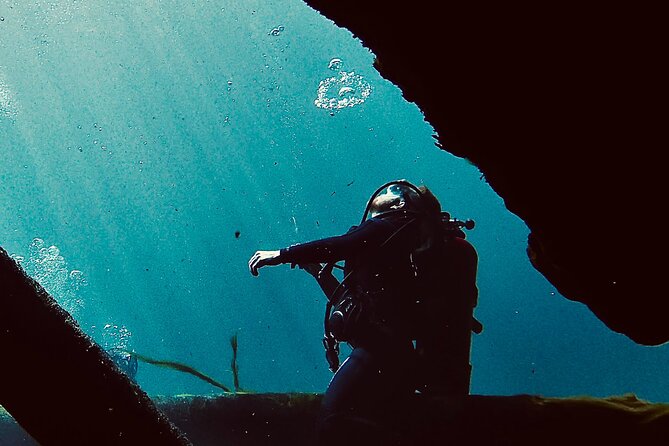 Snorkel Or Dive The Amazing Rainbow River Florida - Wildlife, water, and the real pace of the outing
