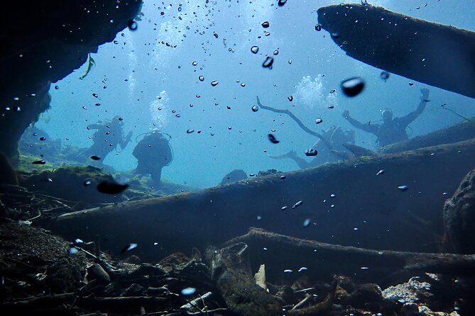 Snorkel Or Dive The Amazing Rainbow River Florida - Equipment and preparation at the shop