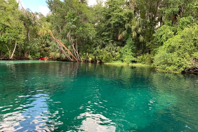 Snorkel Or Dive The Amazing Rainbow River Florida - Who should book this Rainbow River outing?