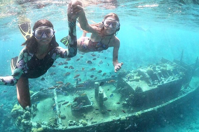 Snorkel Shore Trip with Scubaçao "East Point" - Why the Tugboat Wreck Makes This Trip Special