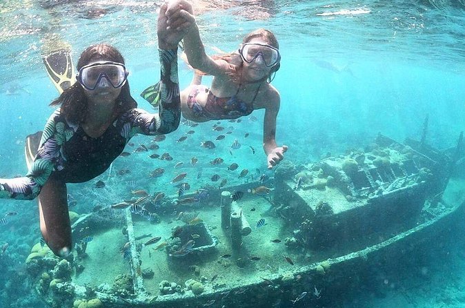 Snorkel Shore Trip with Scubaçao "East Point" - The Picnic Is Light, Not a Full Lunch