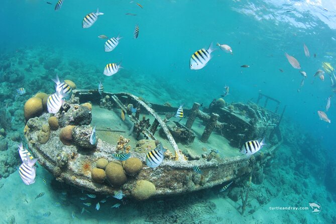 Snorkel Shore Trip with Scubaçao "East Point" - Underwater Photos: A Useful Extra or Added Cost?