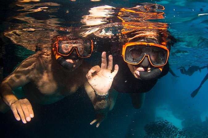 Snorkel Shore Trip with Scubaçao "East Point" - Who Should Book the East Point Shore Trip?