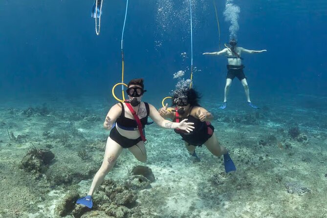 Snuba Cabo San Lucas Dive Without a Tank - Pelican Rock is the reason to book