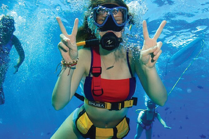Snuba Cabo San Lucas Dive Without a Tank - La Ventana adds a scenic pause