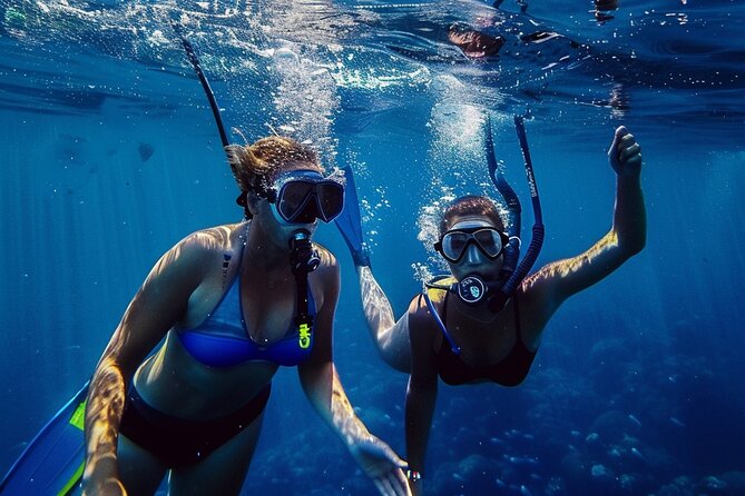 Snuba Cabo San Lucas Dive Without a Tank - Is $154.61 a fair price?
