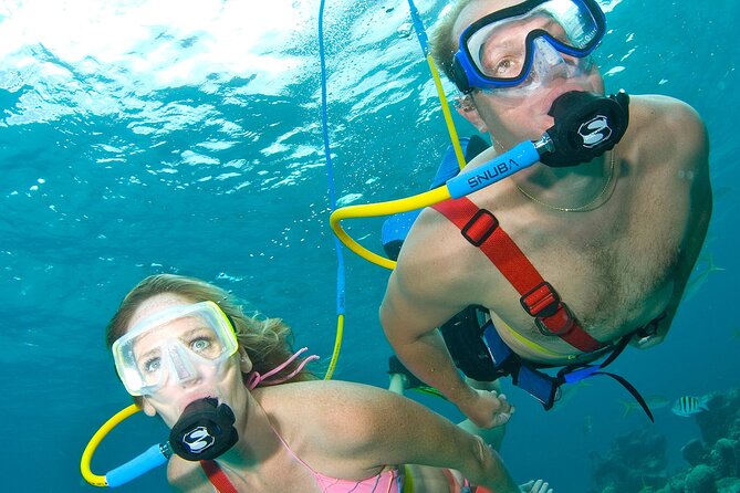 Snuba Cabo San Lucas Dive Without a Tank - Twenty-five minutes at Pelican Rock