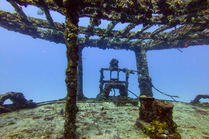 SPECIAL!! 2 Tank Wreck & Drift Reef dives - Who should choose the morning or afternoon start?