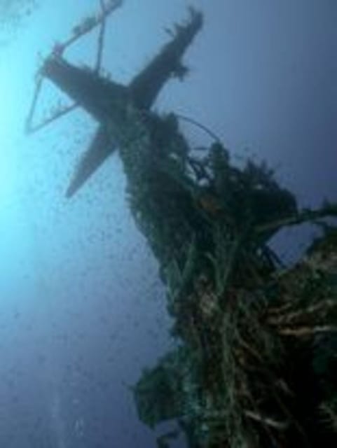 St Julians: Discover Scuba Diving Experience - What the St Julian’s scuba session is really like