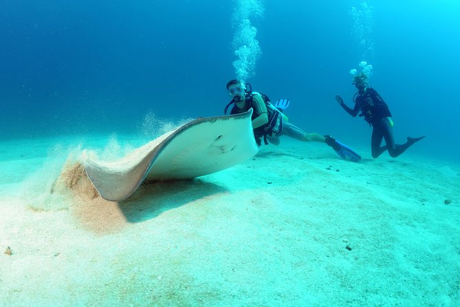 St Maarten Scuba Diving for Certified Divers - Key points to know before you book