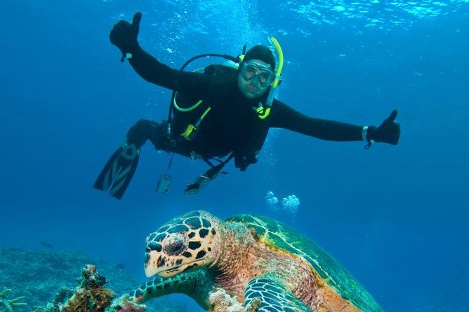 St Maarten Scuba Diving for Certified Divers - What your four hours around St Maarten look like