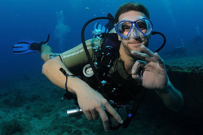 St Maarten Scuba Diving for Certified Divers - What you may see below the surface