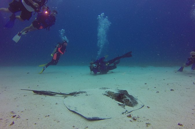 St Maarten Scuba Diving for Certified Divers - Who should book this St Maarten scuba outing?