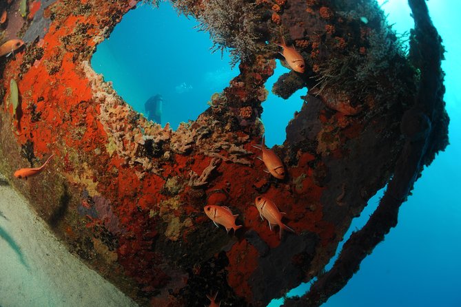 St Maarten Scuba Diving for Certified Divers - Reefs, wrecks, and the Proselyte