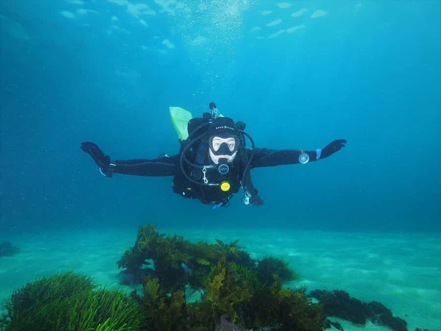 Sydney: Discover Scuba Dive at Australia's most Iconic Beach - Key points at a glance