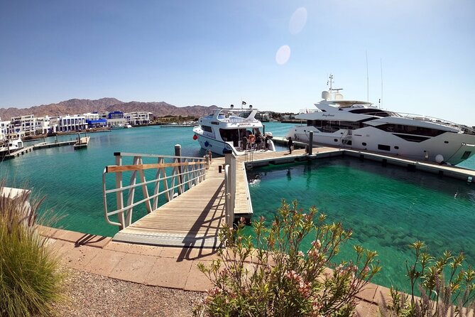 Take advantage of a half-day boat dive experience in Red sea of Aqaba. - Key things to know before booking