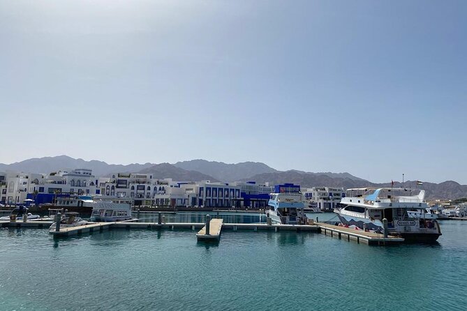 Take advantage of a half-day boat dive experience in Red sea of Aqaba. - Underwater scenery around Aqaba