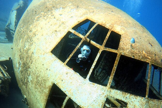 Take advantage of a half-day boat dive experience in Red sea of Aqaba. - Photos, video, and time in the water