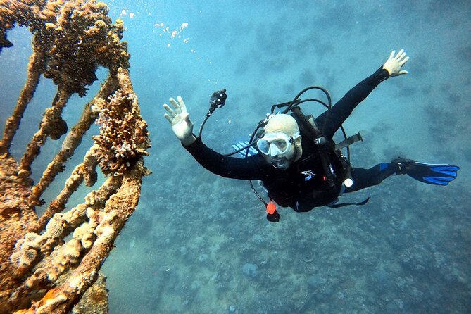 Take advantage of a half-day boat dive experience in Red sea of Aqaba. - Who will enjoy this Aqaba outing most