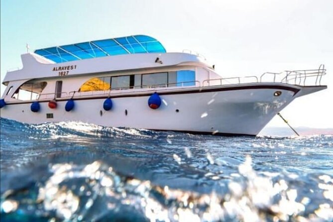 Take advantage of a half-day boat dive experience in Red sea of Aqaba. - What the first boat minutes are like