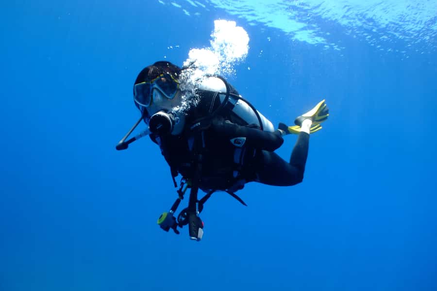 Tayrona National Park: Scuba Diving Tour for Beginners - What past performance suggests
