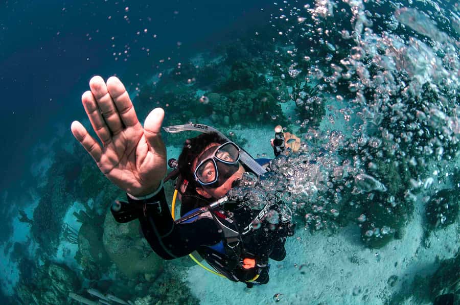 Tayrona National Park: Scuba Diving Tour for Beginners - Who should book this experience?
