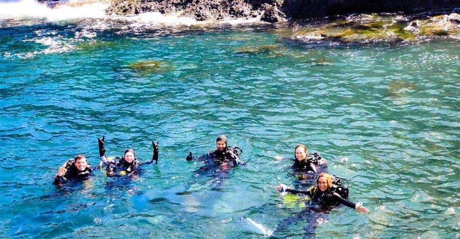 Tenerife: 2-Dive Private Scuba Discovery Course - Two underwater sessions instead of a quick trial