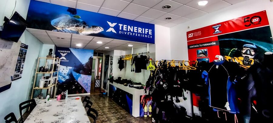 Tenerife: 2-Dive Private Scuba Discovery Course - A speedboat ride to Tenerife’s coastal water