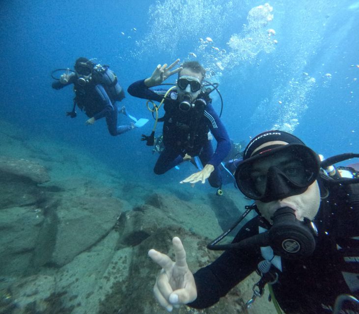Tenerife: Beginner's Dive at a Spot with Turtle Sightings - At a glance: what makes this outing useful