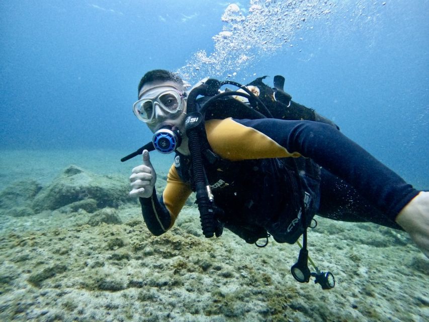 Tenerife: Beginner's Dive at a Spot with Turtle Sightings - A first scuba session with a surprisingly personal feel