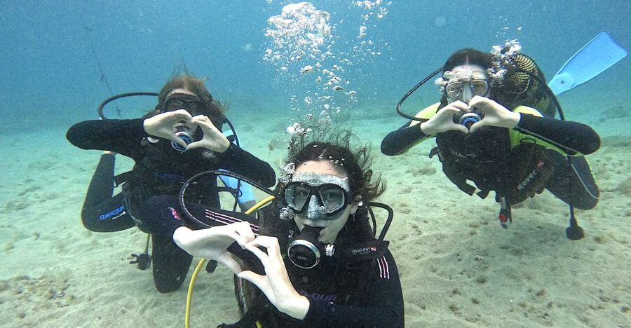 Tenerife: Beginner's Dive at a Spot with Turtle Sightings - The 15-minute speedboat ride along Tenerife’s south coast