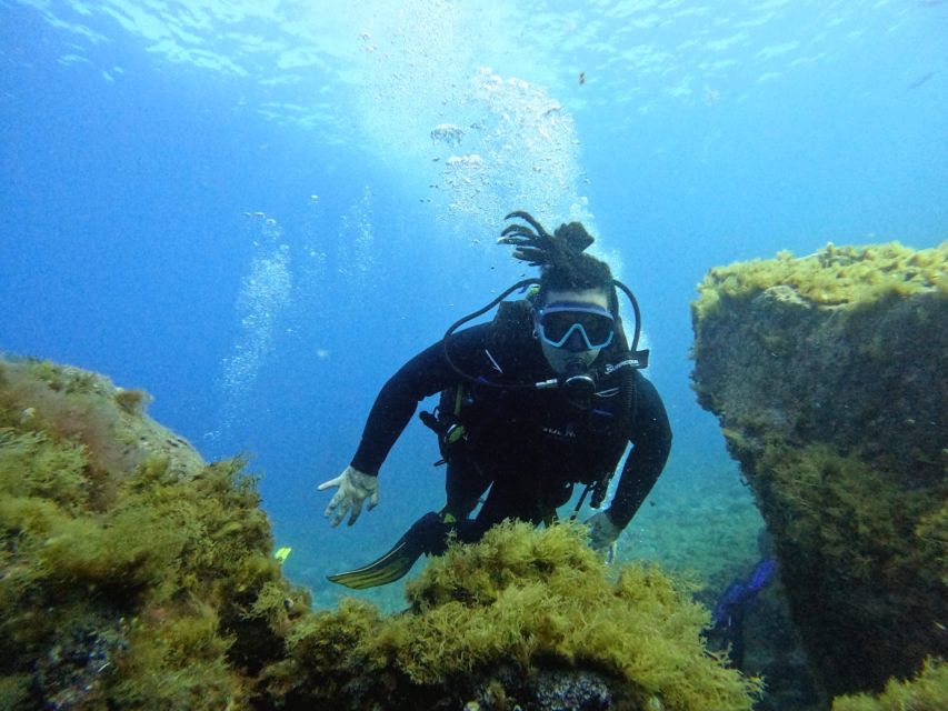 Tenerife: Beginner's Dive at a Spot with Turtle Sightings - Value at $82, and what costs extra
