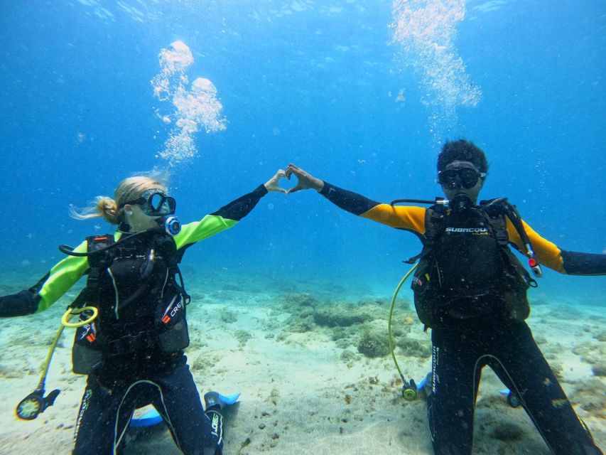 Tenerife: Beginner's Dive at a Spot with Turtle Sightings - The practical limits you should plan around