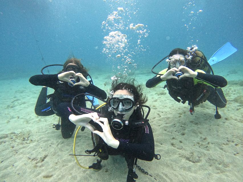 Tenerife: Beginner's Dive at a Spot with Turtle Sightings - Starting at Puerto Colón with a clear safety briefing