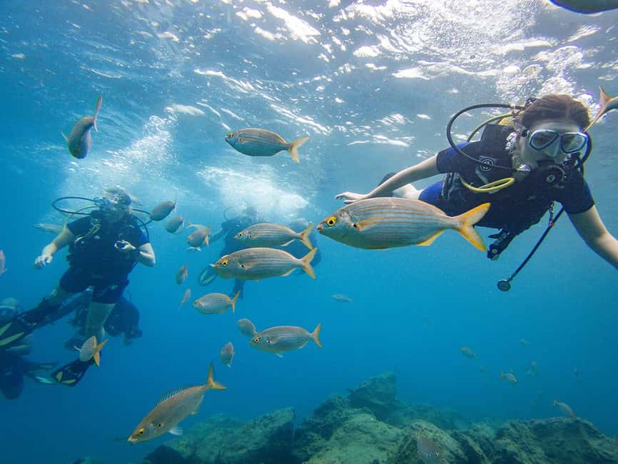Tenerife: Beginner Scuba Dive Experience - First breaths in Tenerife’s underwater world
