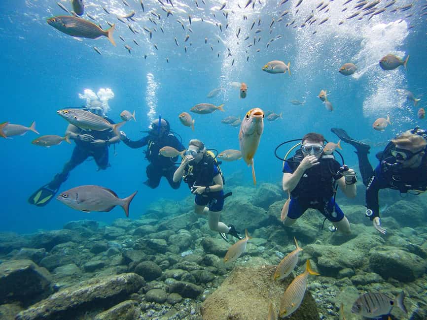 Tenerife: Beginner Scuba Dive Experience - The 30-minute briefing that makes the difference