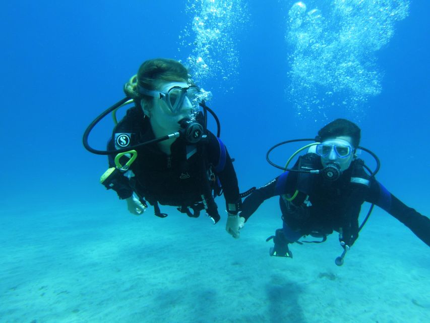 Tenerife: Beginner Scuba Dive Experience - What you may see below the surface