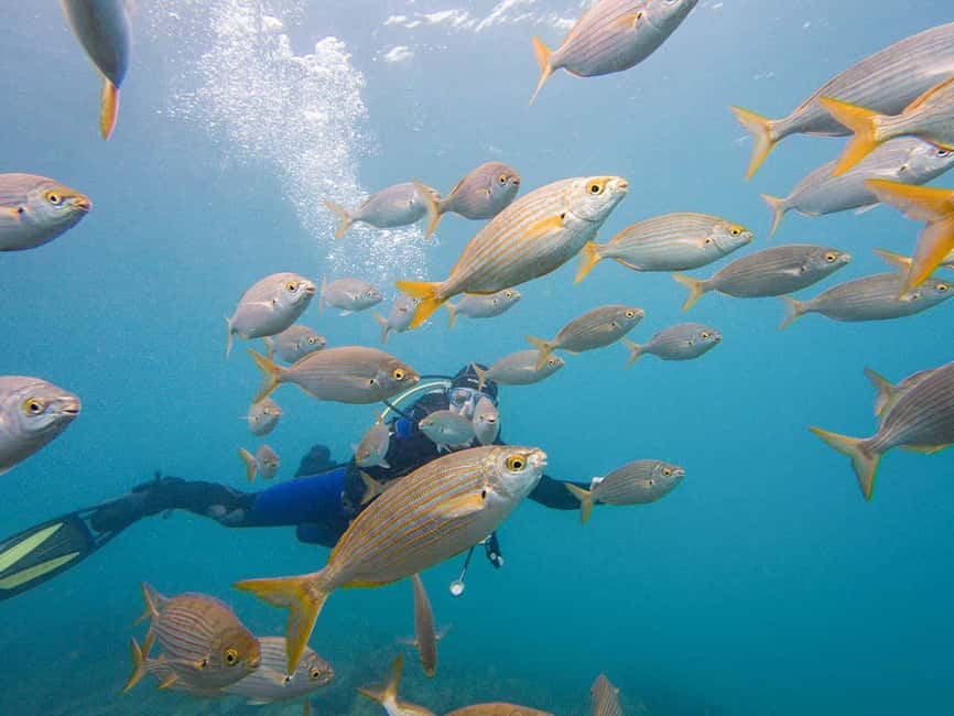 Tenerife: Beginner Scuba Dive Experience - Safety, nerves, and the role of the instructor