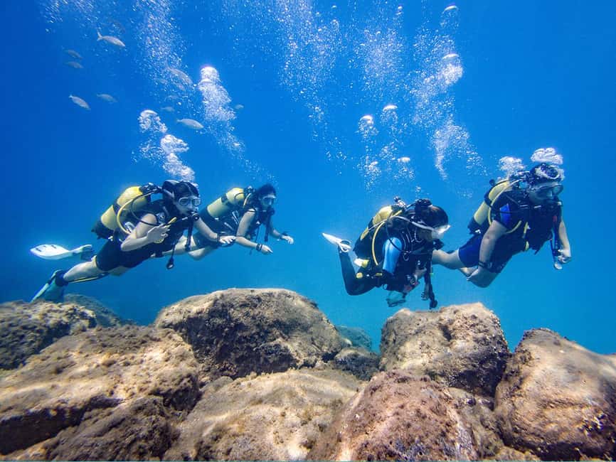 Tenerife: Beginner Scuba Dive Experience - Is $83 a fair price?