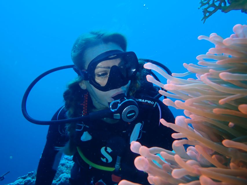 Tenerife: Costa Adeje Private Diving Lesson Experience - Who will enjoy this most