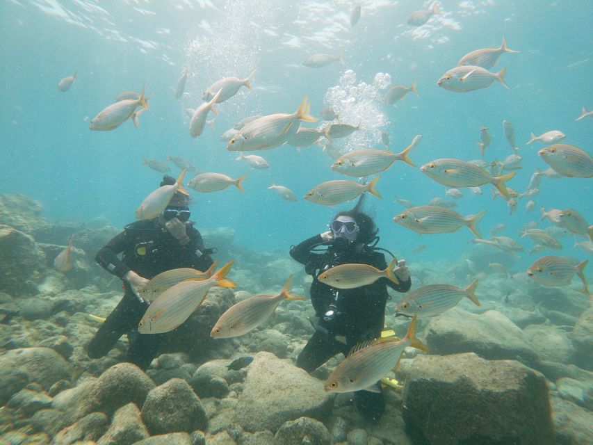 Tenerife: Costa Adeje Private Diving Lesson Experience - What this Costa Adeje scuba lesson is really like