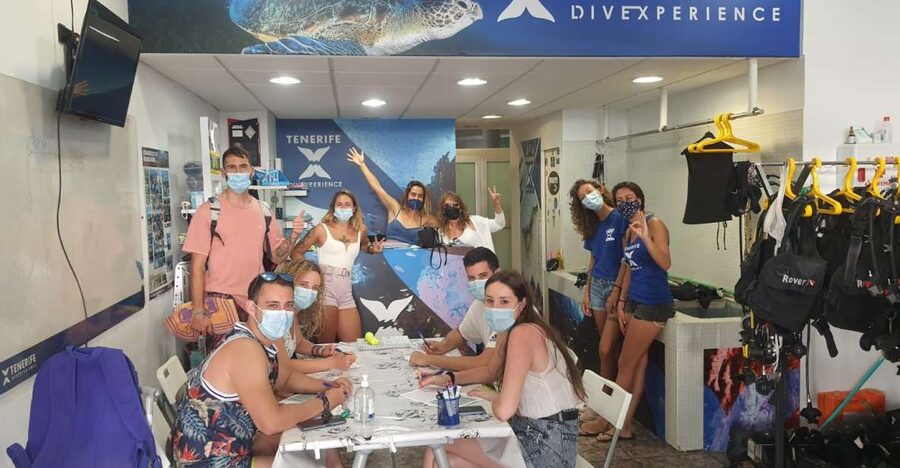Tenerife: Costa Adeje Private Diving Lesson Experience - Sea life and underwater scenery