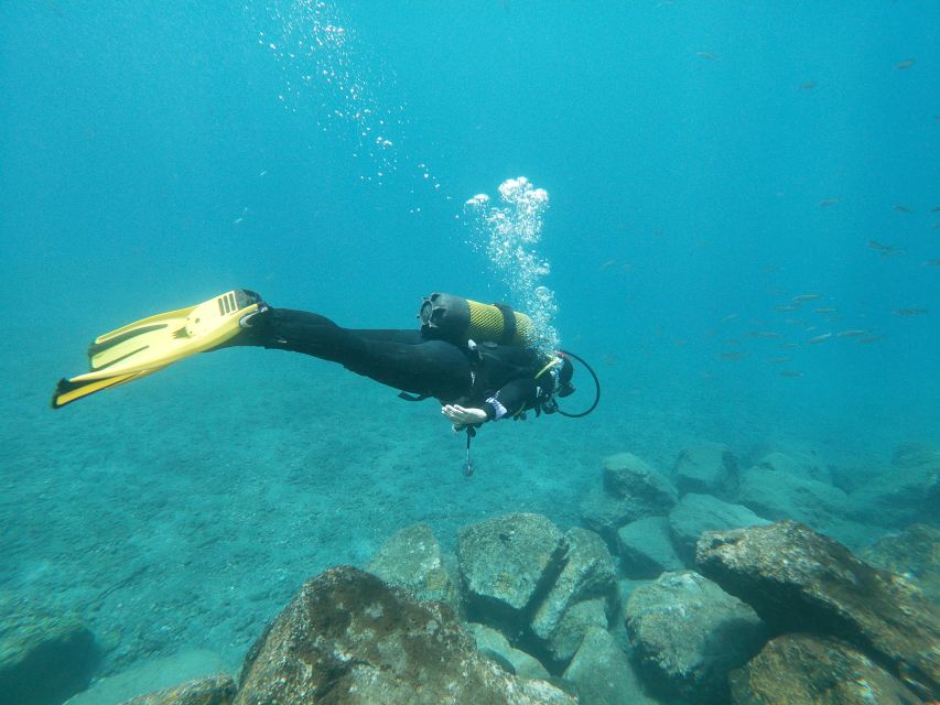 Tenerife: Costa Adeje Private Diving Lesson Experience - Important health and flight planning